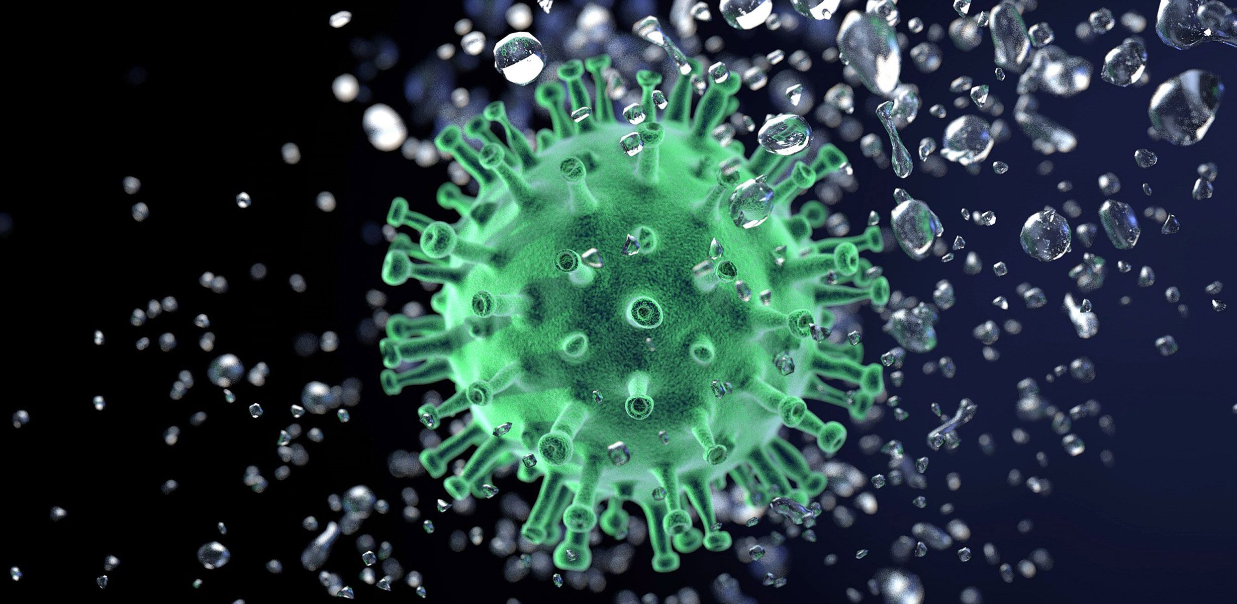 Los desaciertos de Byung-Chul Han